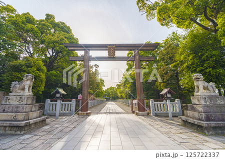 和泉國一之宮　朝日を浴びる大鳥大社　西大鳥居（大阪府堺市西区鳳北町） 125722337