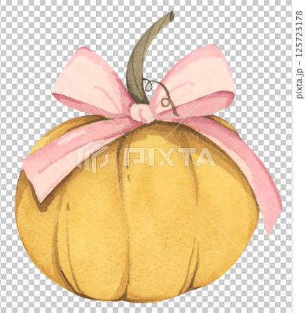 Pumpkin bow watercolor coquette pink ribbon illustration for autumn. 125723178