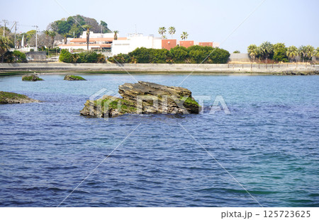 横須賀の観音崎の風景 125723625