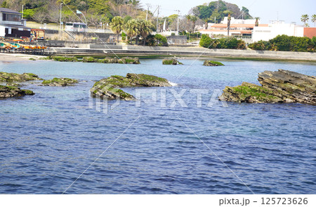 横須賀の観音崎の風景 125723626