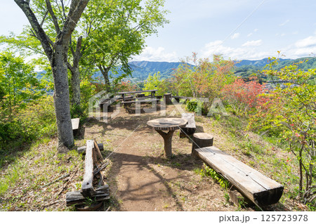 石楯山の山頂（神奈川県相模原市名倉） 125723978