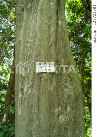 蚕影山の山頂(神奈川県相模原市名倉) 蚕影山の山頂(神奈川県相模原市名倉) 125723981