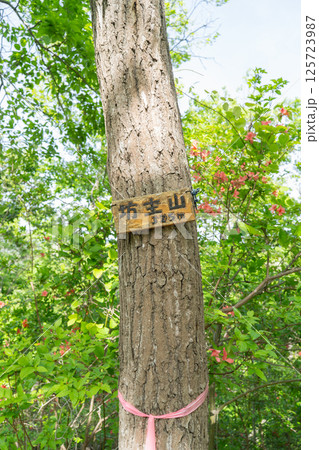 坊主山の山頂（神奈川県相模原市名倉） 125723987