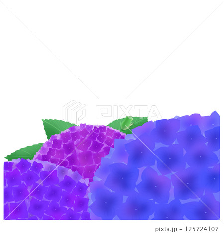 3色の紫陽花のある背景 125724107