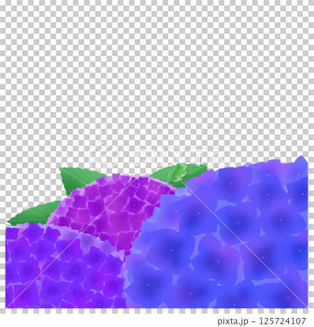 Background with three-color hydrangea 125724107