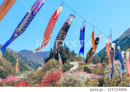 花桃の里【 長野県下伊那郡阿智村】 125724806