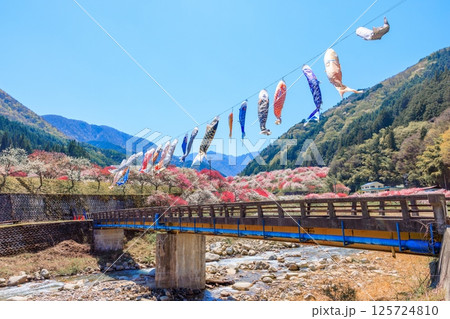 花桃の里【 長野県下伊那郡阿智村】 125724810