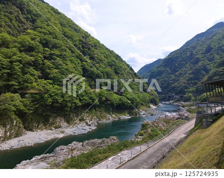 大歩危渓(徳島:三好) 大歩危渓(徳島:三好) 125724935
