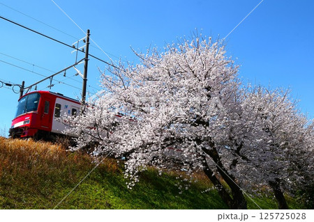 満開の桜と名鉄電車 満開の桜と名鉄電車 125725028