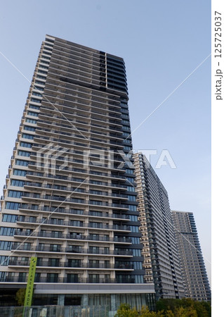 シティタワーズ東京ベイウエストタワー 125725037