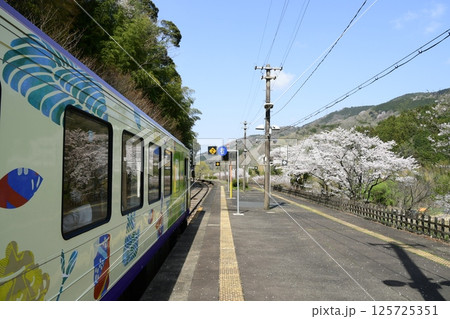 桜咲く関西本線「笠置駅」 桜咲く関西本線「笠置駅」 125725351