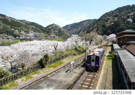 桜咲く関西本線「笠置駅」 125725366