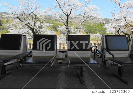桜咲く関西本線「笠置駅」 桜咲く関西本線「笠置駅」 125725369