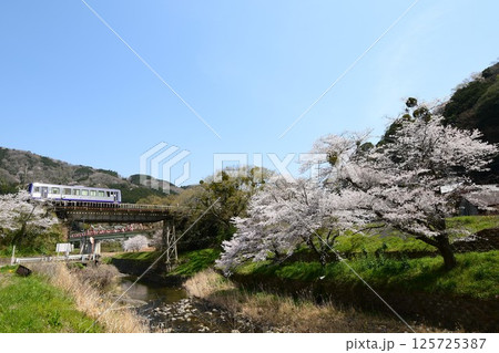 桜咲く関西本線「笠置駅」 桜咲く関西本線「笠置駅」 125725387