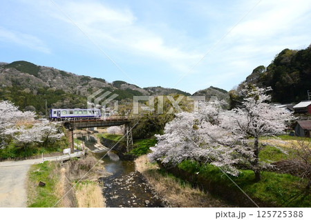 桜咲く関西本線「笠置駅」 桜咲く関西本線「笠置駅」 125725388