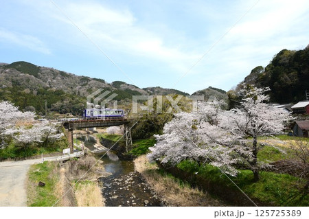 桜咲く関西本線「笠置駅」 桜咲く関西本線「笠置駅」 125725389
