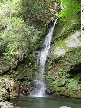祖谷のかずら橋近くの琵琶の滝(徳島:三好) 祖谷のかずら橋近くの琵琶の滝(徳島:三好) 125725444