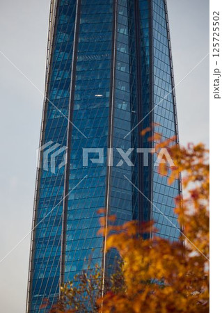 A modern skyscraper beautifully framed by vibrant autumn foliage creating a stunning scene 125725502