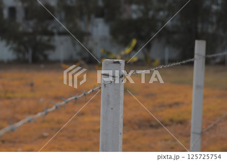 A Barbed Wire Fence Nestled in a Peaceful and Rustic Field Surrounded by Natures Beauty 125725754
