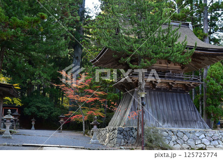 高野山　壇上伽藍　紅葉と鐘楼 125725774