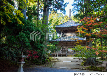 高野山 壇上伽藍 紅葉と西塔 高野山 壇上伽藍 紅葉と西塔 125725777