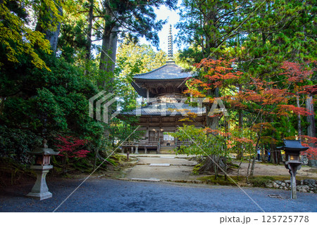 高野山 壇上伽藍 紅葉と西塔 高野山 壇上伽藍 紅葉と西塔 125725778