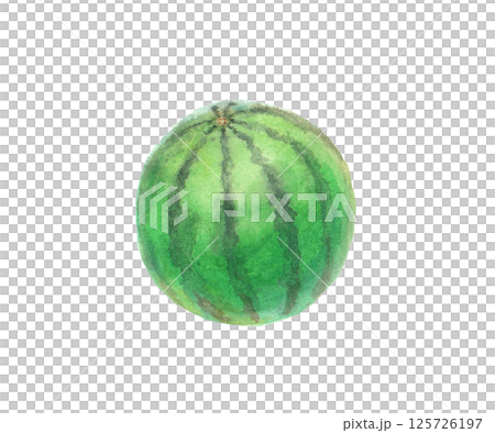 水彩絵の具で描いたまるごとスイカのイラスト 125726197