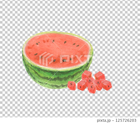 Watercolor painted cut watermelon 125726203