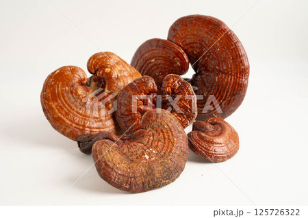 Lingzhi or Reishi mushroom with capsules, organic natural healthy food. 125726322