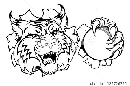 Wildcat Bobcat Cricket Ball Animal Team Mascot Wildcat Bobcat Cricket Ball Animal Team Mascot 125726753