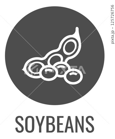 A Soybean Soy Bean Food Allergen Icon Concept A Soybean Soy Bean Food Allergen Icon Concept 125726756
