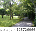 緑豊かな公園 125726966