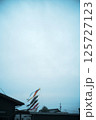 優雅に泳ぐ鯉のぼり 125727123