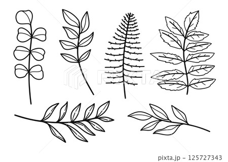 Hand drawn floral minimal elements in line art style. Botanical collection Hand drawn floral minimal elements in line art style. Botanical collection 125727343