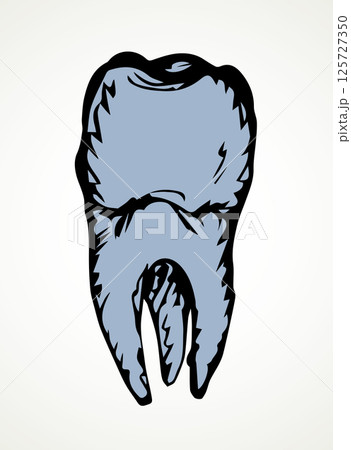 The layout of tooth. Vector drawing The layout of tooth. Vector drawing 125727350