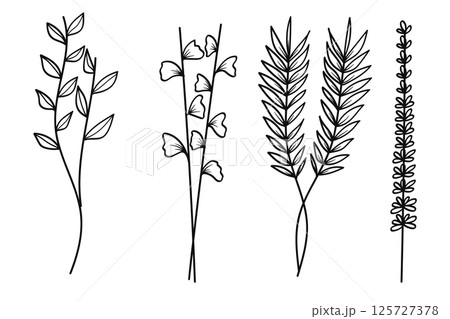 Hand drawing botanical leaves line collection. Hand drawing botanical leaves line collection. 125727378