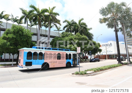 ヤシの木の並ぶマイアミビーチ 125727578