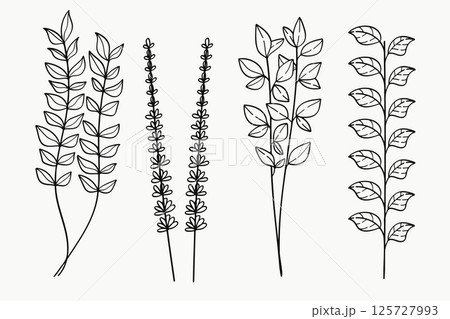 Botanical Twigs and Leaves Hand-Drawn Vector Set 125727993