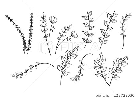 A collection of hand drawn plant set.Vector Illustration 125728030