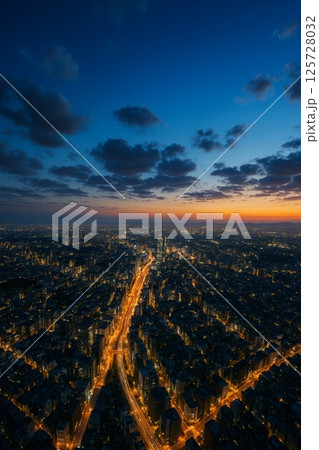 幻想的な夏の都市夜景を空撮した風景写真 125728032