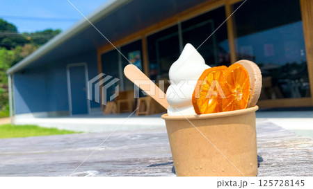 ドライフルーツとミルクソフトクリーム ドライフルーツとミルクソフトクリーム 125728145