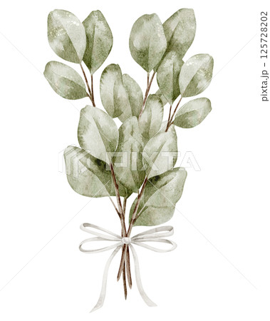 Watercolor eucalyptus bouquet tied with a white ribbon. Illustration with greenery arrangement for wedding invitations or greeting cards in rustic style. Drawing of branches with bow for Baby shower. Watercolor eucalyptus bouquet tied with a white ribbon. Illustration with greenery arrangement for wedding invitations or greeting cards in rustic style. Drawing of branches with bow for Baby shower. 125728202