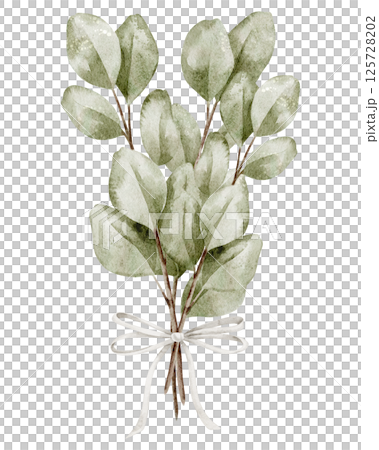 Watercolor eucalyptus bouquet tied with a white ribbon. Illustration with greenery arrangement for wedding invitations or greeting cards in rustic style. Drawing of branches with bow for Baby shower. Watercolor eucalyptus bouquet tied with a white ribbon. Illustration with greenery arrangement for wedding invitations or greeting cards in rustic style. Drawing of branches with bow for Baby shower. 125728202