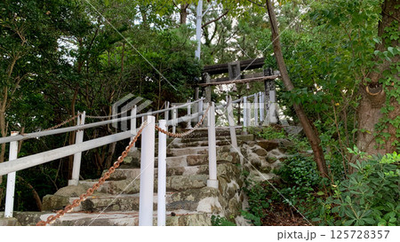 寺島と大村湾の自然風景 125728357