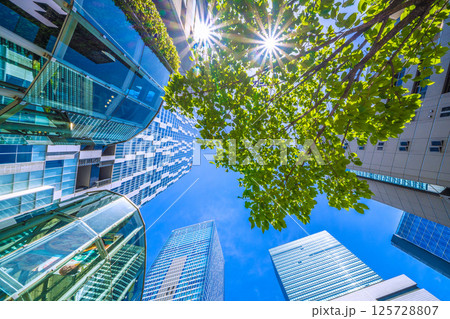 日本の東京都市景観 新景・渋谷ストリームや渋谷スクランブルスクエアなどのビル群や新緑、光芒…＝3日 125728807