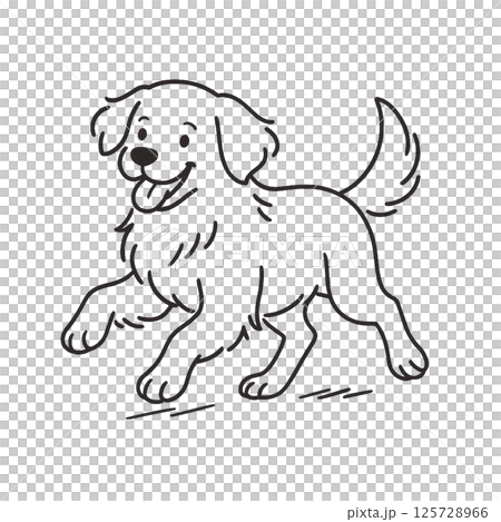 ゴールデンレトリーバーの線画イラスト、動物シリーズ、アイコン、背景なし、素材 ゴールデンレトリーバーの線画イラスト、動物シリーズ、アイコン、背景なし、素材 125728966