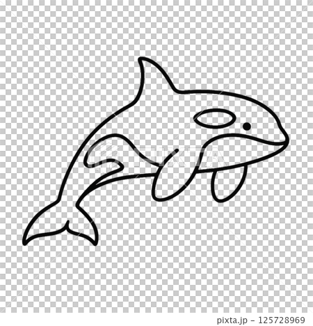 シャチの線画イラスト、動物シリーズ、アイコン、背景なし、素材 125728969