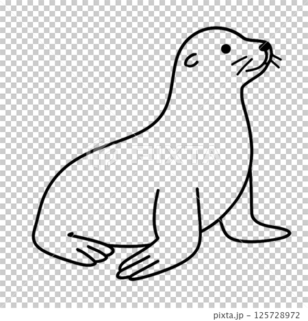 Line drawing illustration of a fur seal, animal series, icon, no background, material 125728972