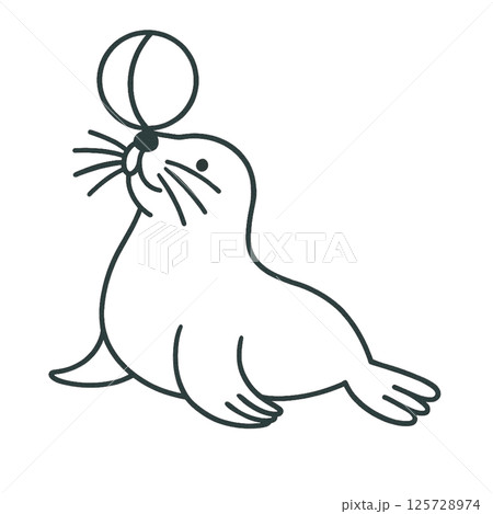 アシカの線画イラスト、アイコン、素材、背景なし、ボールで遊ぶ アシカの線画イラスト、アイコン、素材、背景なし、ボールで遊ぶ 125728974