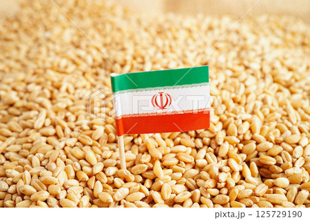 Iran flag on grain wheat, trade export and economy concept. Iran flag on grain wheat, trade export and economy concept. 125729190